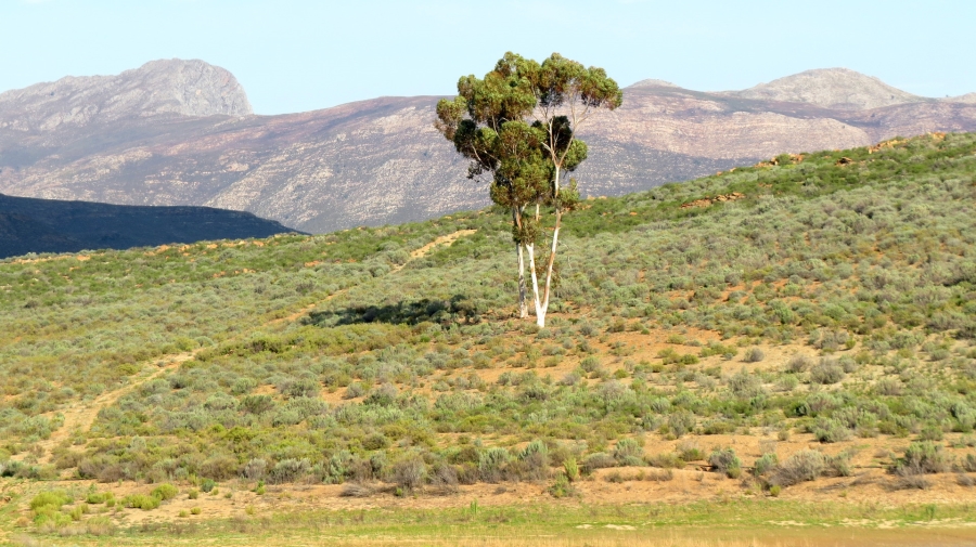 Commercial Property for Sale in Montagu Rural Western Cape
